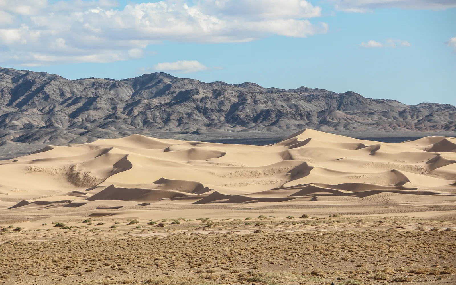 Gobi Desert