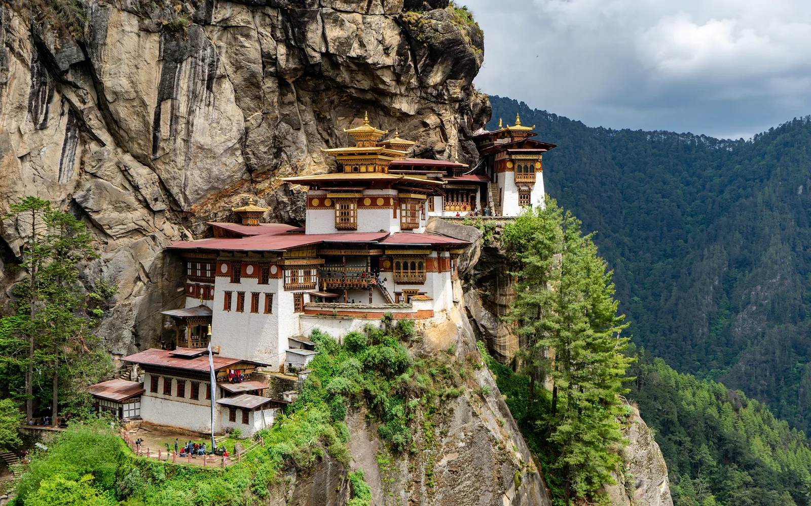 Paro