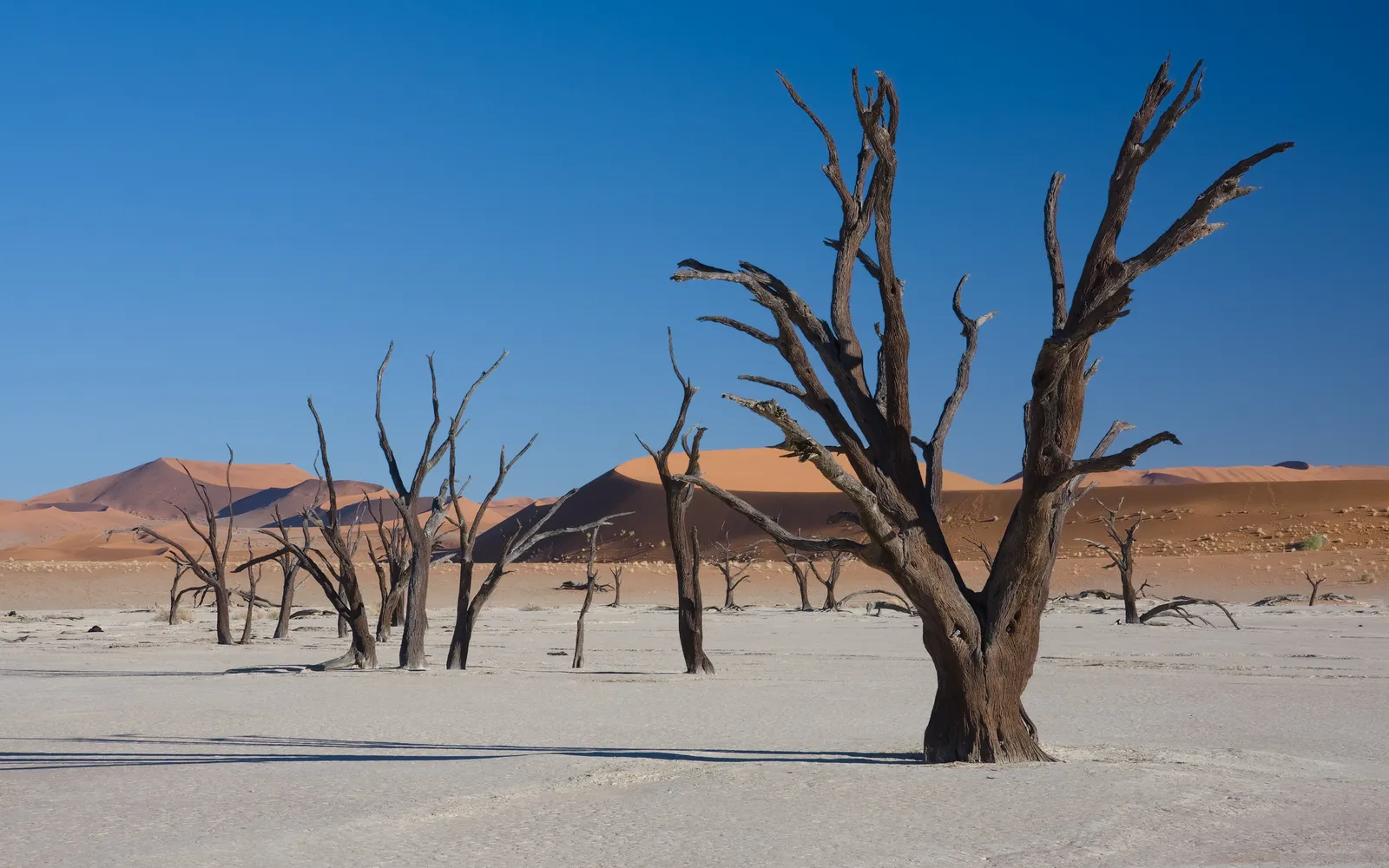 Sossusvlei