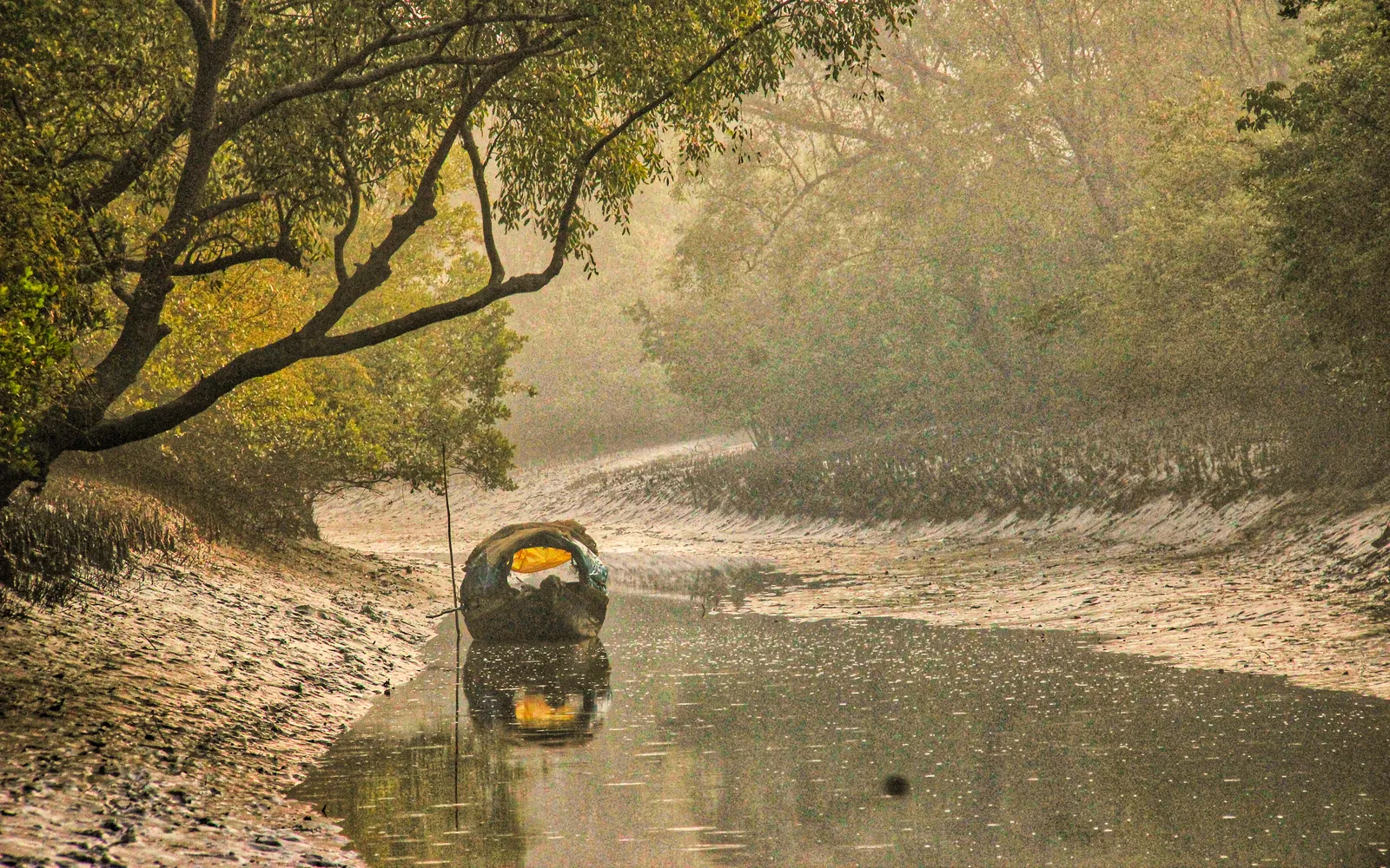 Sundarbans