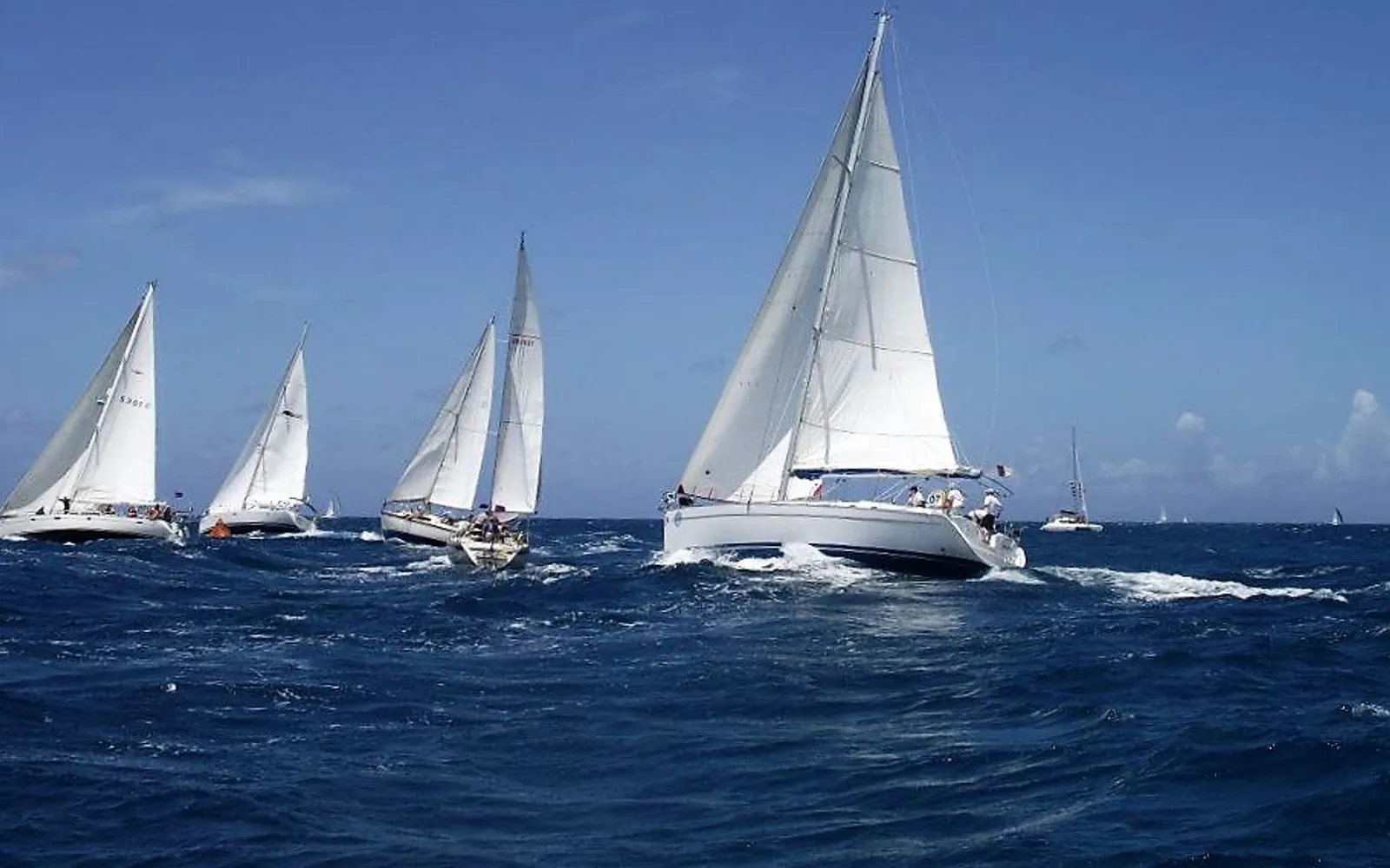 เรือใบแข่งขันในงาน Antigua Sailing Week บนน่านน้ำหน้าอิงลิชฮาร์เบอร์