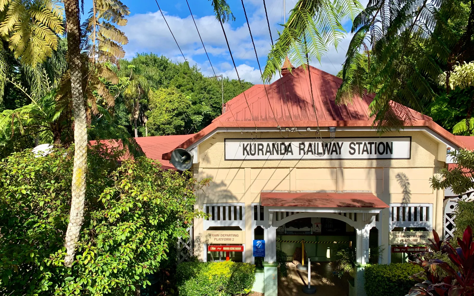 สถานีรถไฟคูรันดาสีเหลืองสดในป่าดงดิบ หัวรถจักรไอน้ำโบราณจอดรอผู้โดยสารท่ามกลางต้นไม้ขนาดใหญ่