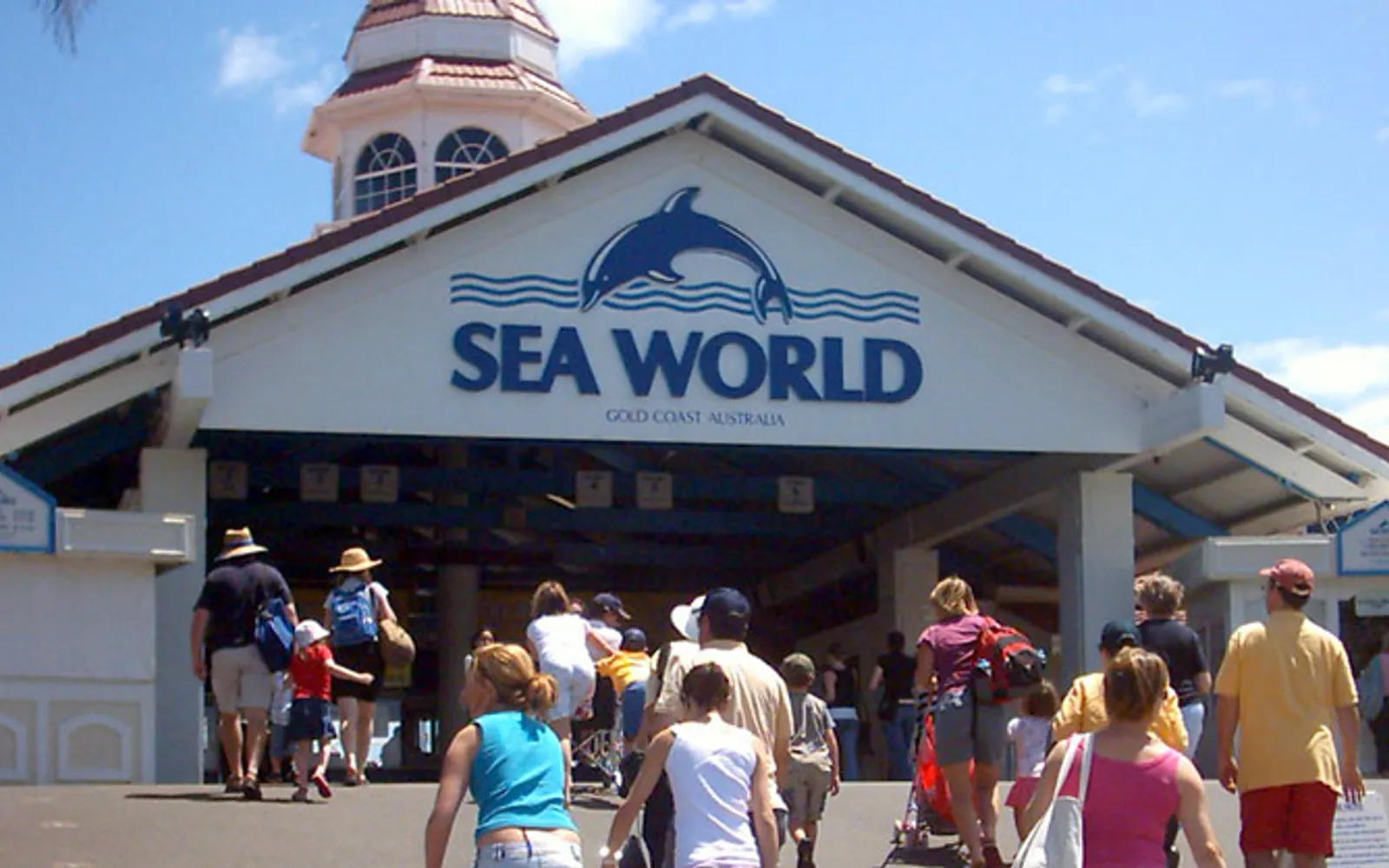 โลมาปากขวดโชว์กระโดดสูงในสระโชว์ใหญ่ที่ Sea World โกลด์โคสต์ ท่ามกลางเสียงโห่ร้องของนักท่องเที่ยว