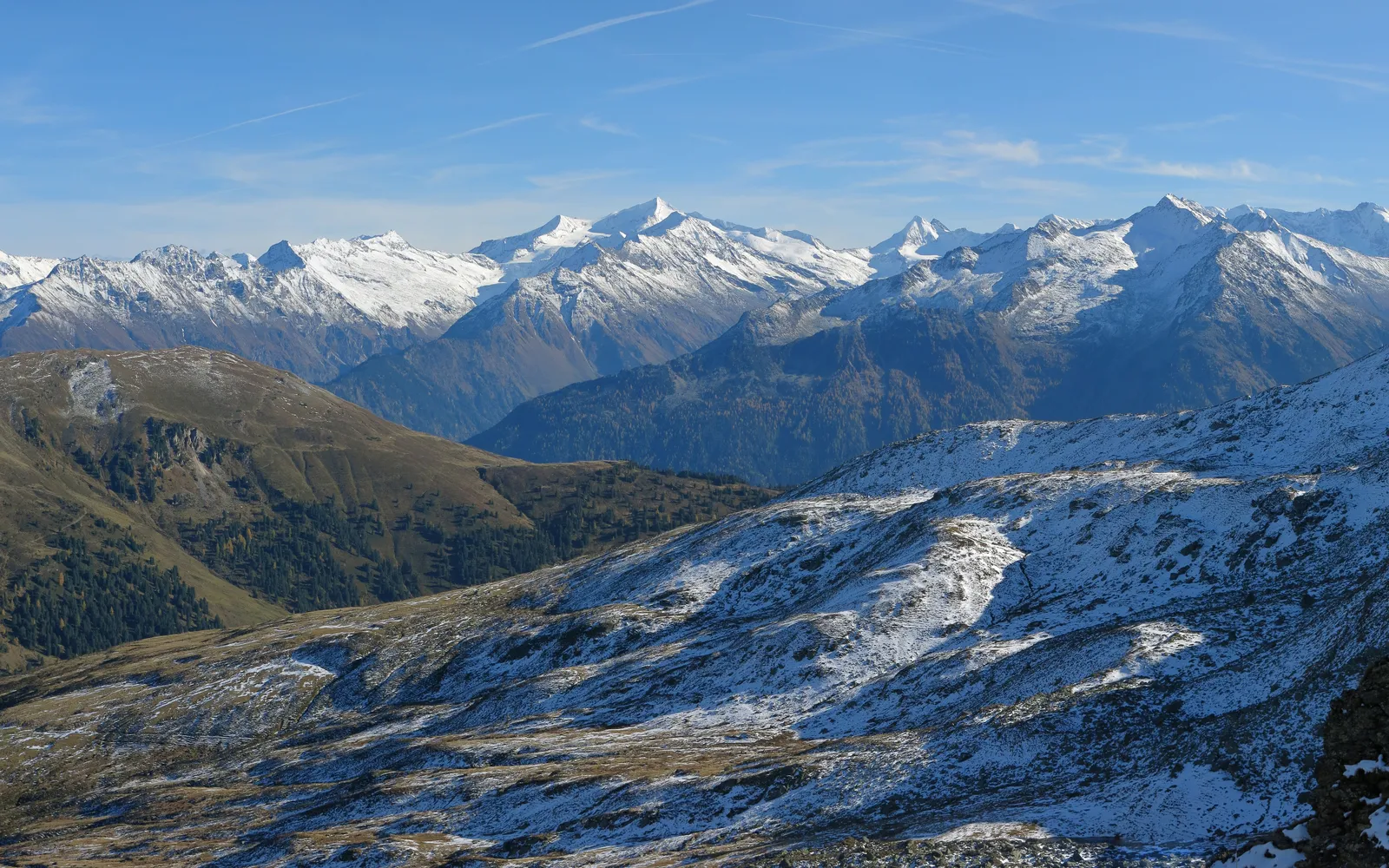ทุ่งหญ้าอัลไพน์สีเขียวในอุทยานแห่งชาติ Hohe Tauern ดอกไม้ป่าหลากสีบานรับแสงแดด ยอดเขาหิมะขาวอยู่เบื้องหลัง