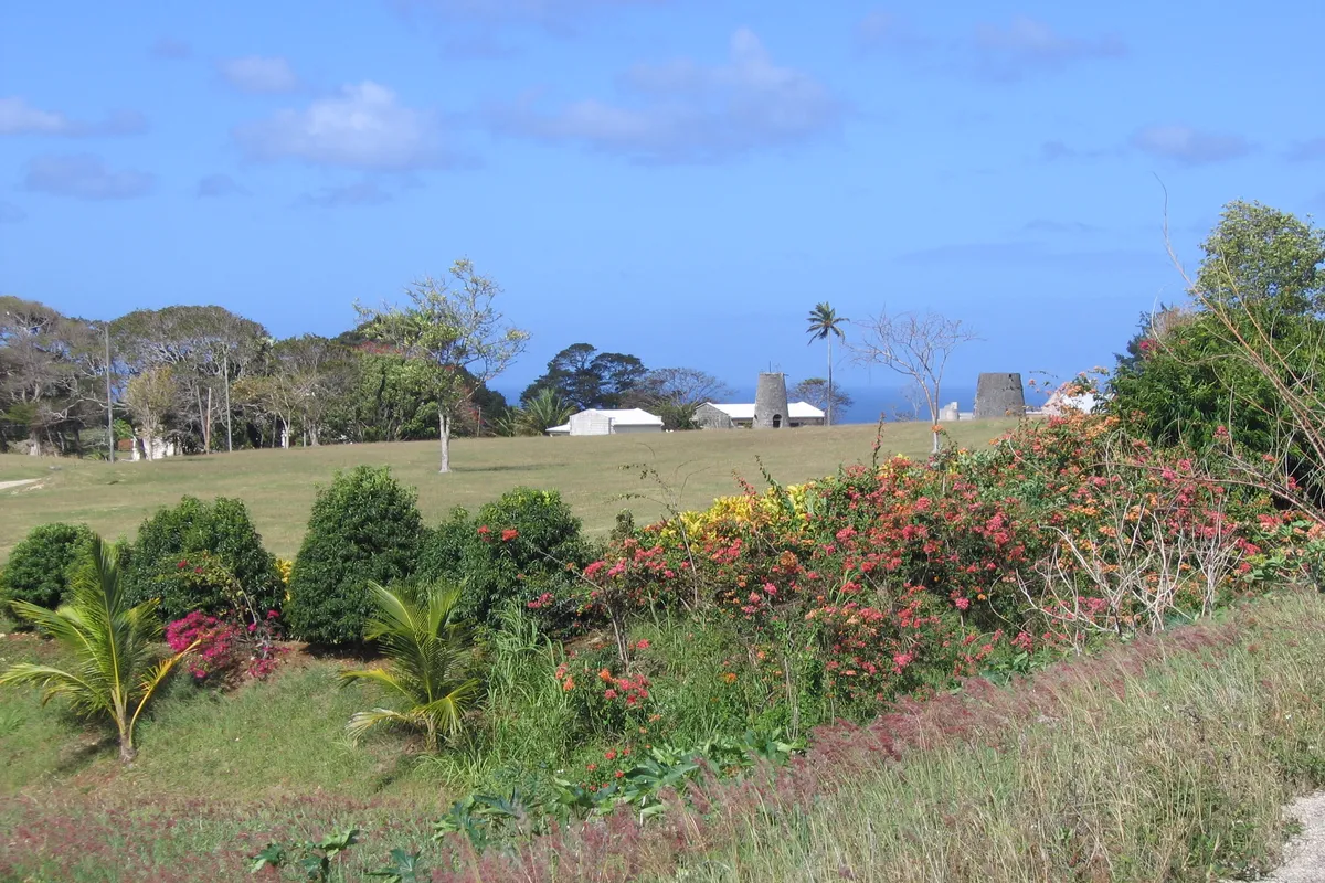 บรรยากาศย่านMullins / Alleynes Bay ในโฮลทาวน์