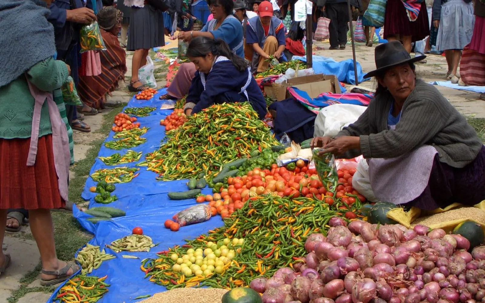 ชาวพื้นเมืองในชุดประจำถิ่นสีสันสดใสที่ตลาดวันอาทิตย์ทาราบูโก