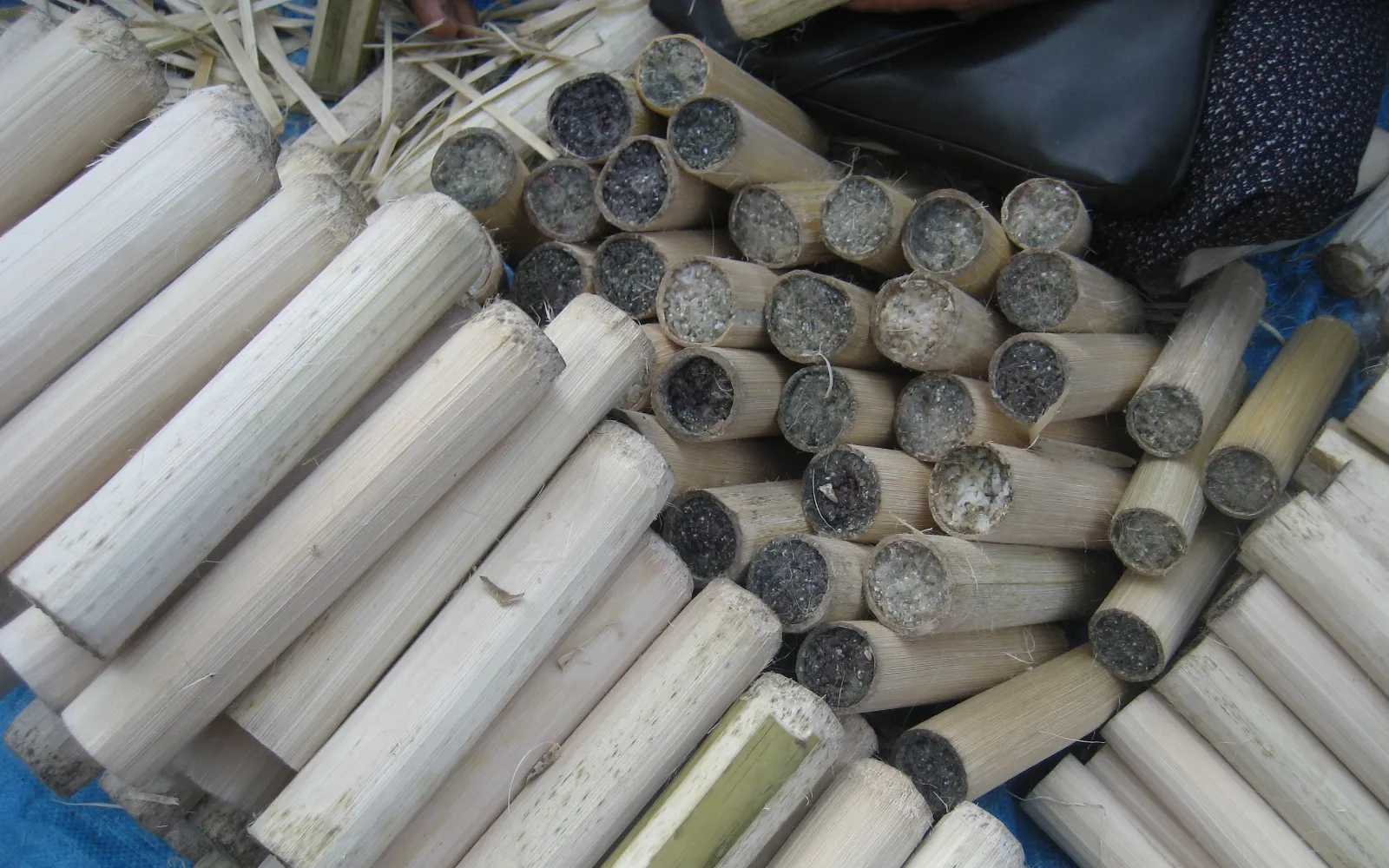 กรอลันข้าวเหนียวในกระบอกไม้ไผ่สีเขียว เรียงอยู่บนเตาถ่านหลายสิบกระบอก เนื้อข้าวเหนียวมะพร้าวสีขาวครีมโผล่ออกมาจากปลายกระบอก
