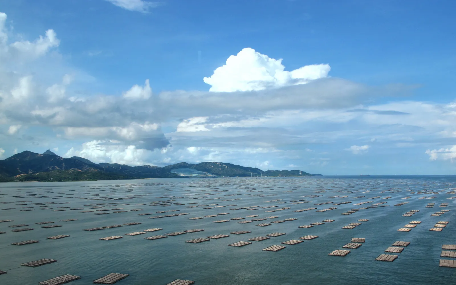 ทางจักรยานริมชายฝั่งอ่าวเซินเจิ้น วิวสะพาน Shenzhen-Hongkong Bay Bridge พระอาทิตย์ตกดิน