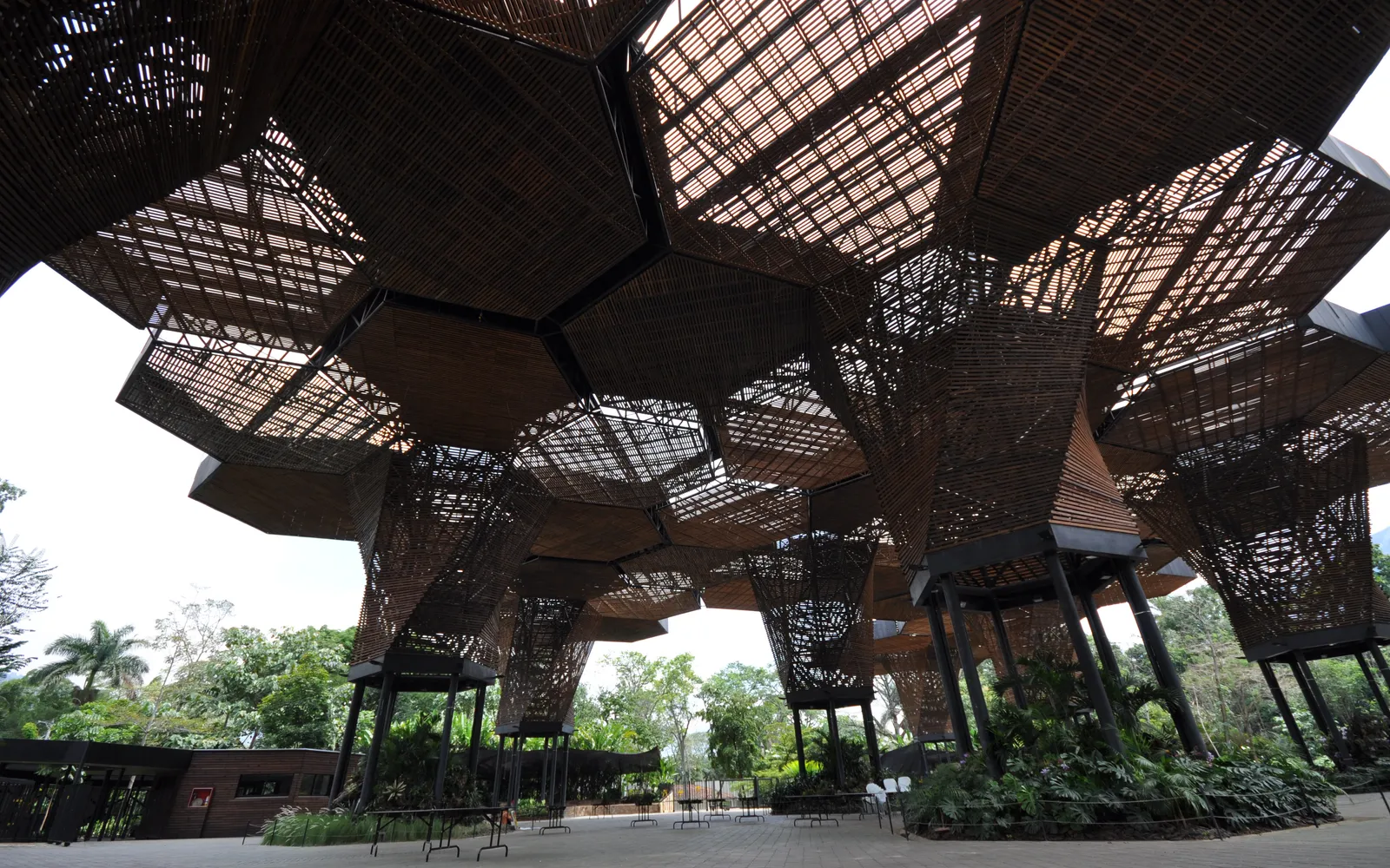 โครงสร้างไม้ Orquideorama รูปรังผึ้งในสวนพฤกษศาสตร์เมเดยิน