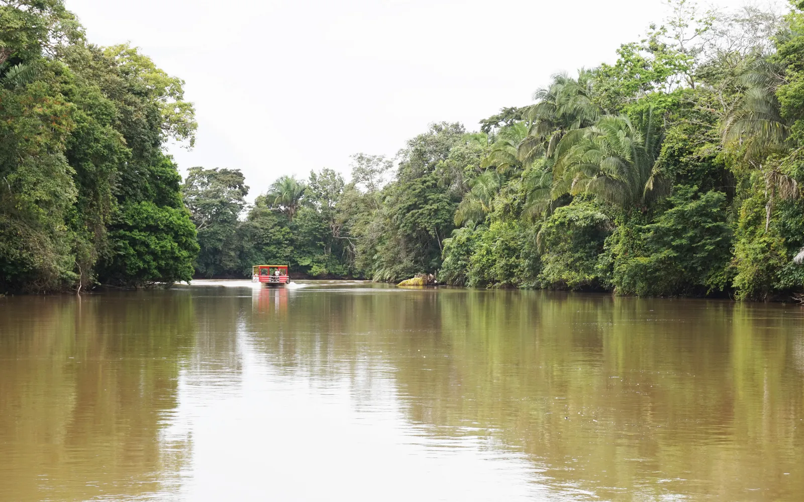 เรือล่องชมนกและสัตว์ในพื้นที่ชุ่มน้ำกาโญเนโกร
