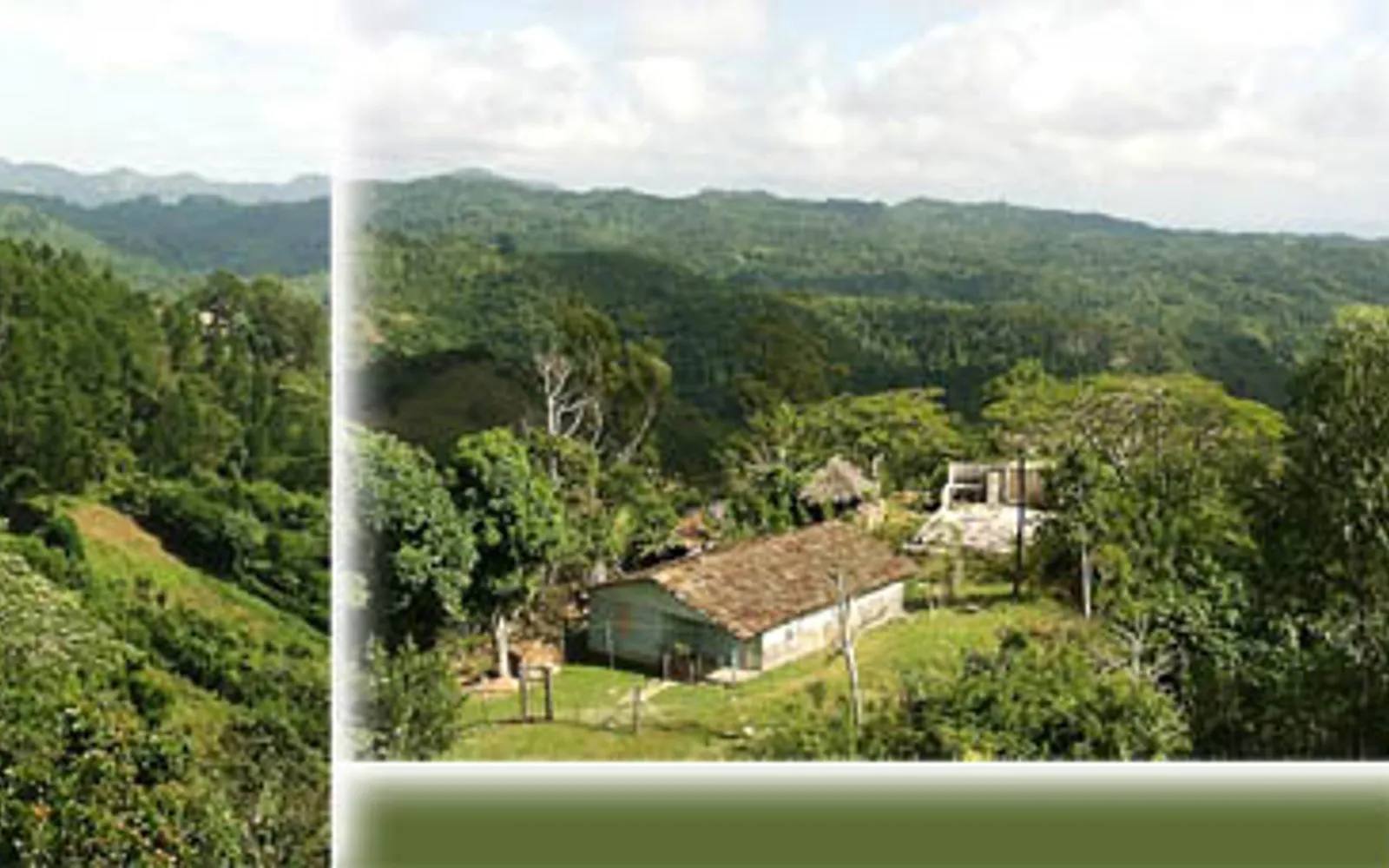 ป่าเขียวและน้ำตกในอุทยาน Topes de Collantes บนเทือกเขา Escambray