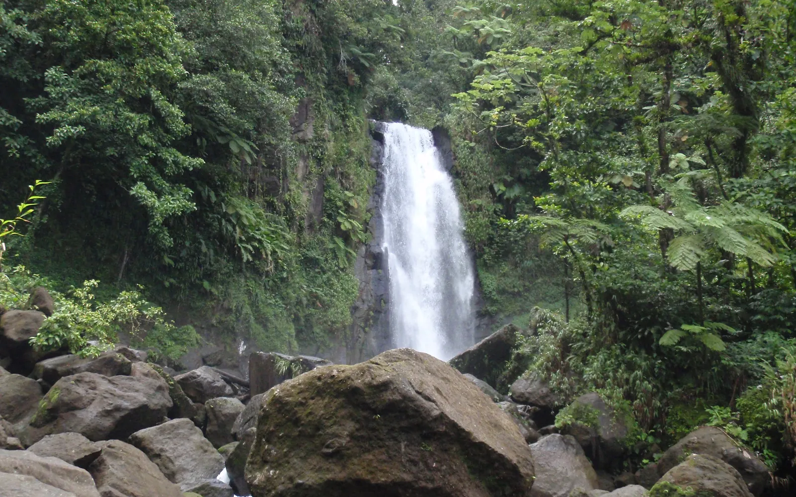 Dominica