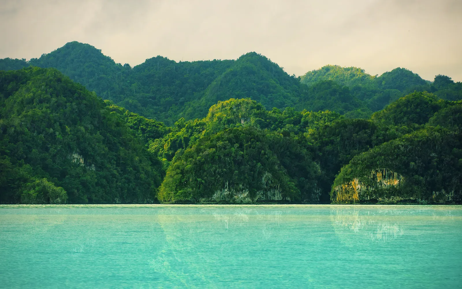 เขาหินปูนโผล่กลางน้ำและป่าชายเลนที่อุทยานลอสไอติเซส