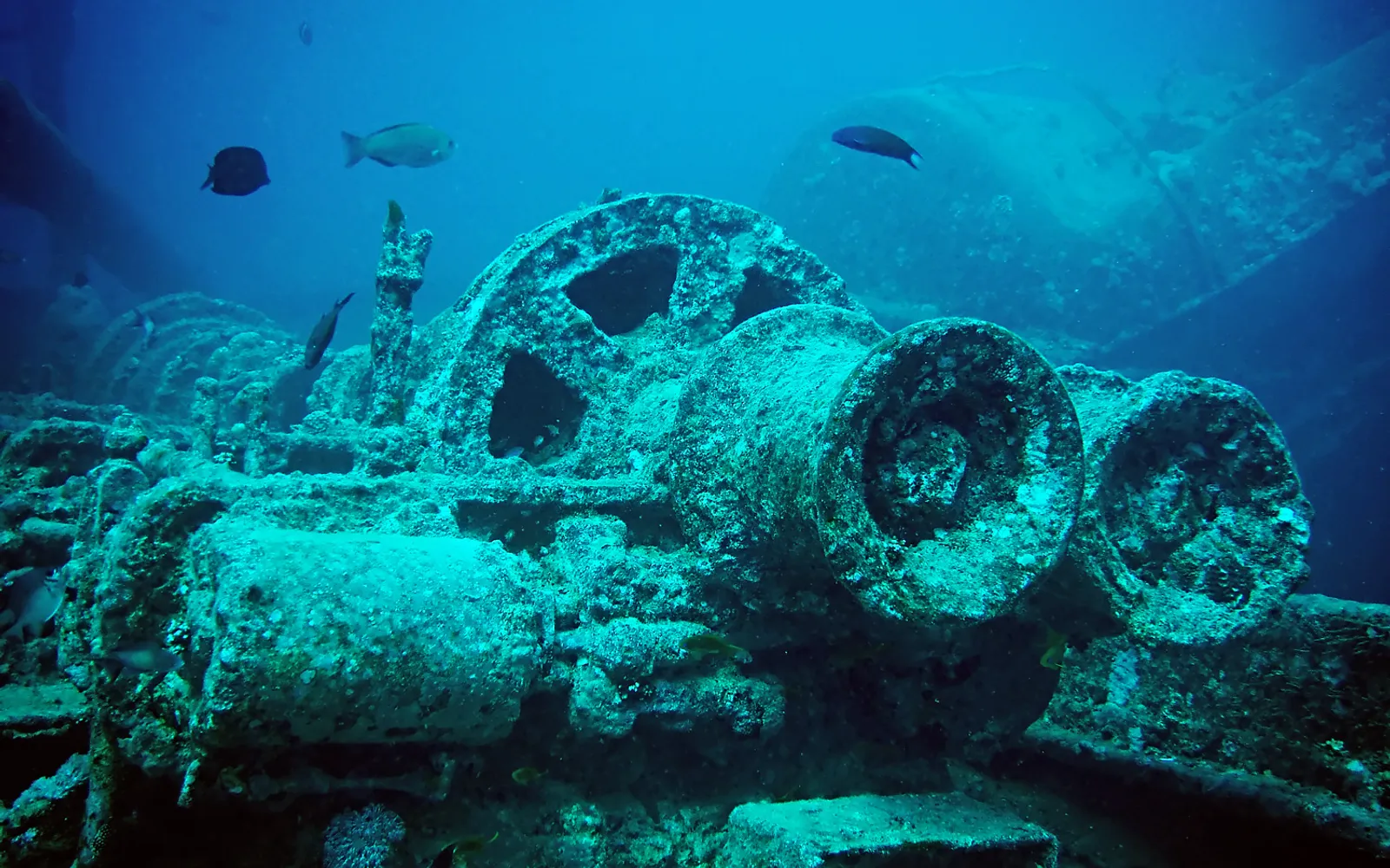 ซากเรือ SS Thistlegorm ใต้ทะเลแดง