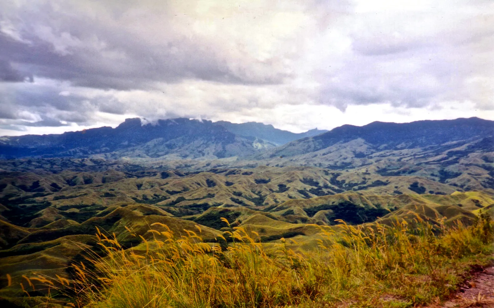 ที่ราบสูงเนาโซรีและภูเขายักษ์หลับ ที่ตั้งของสวนกล้วยไม้