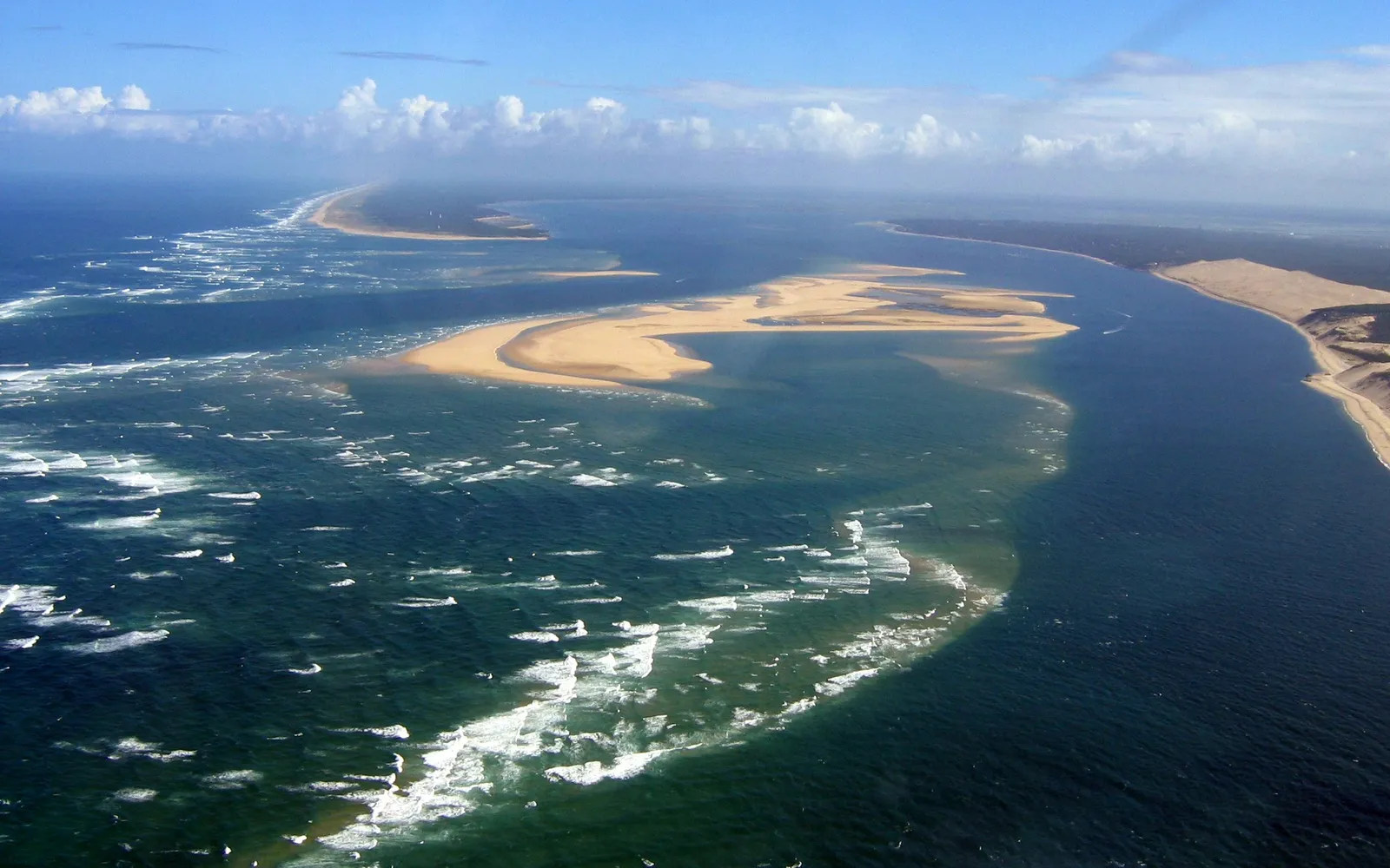 จานหอยนางรมสดอ่าว Arcachon บนน้ำแข็ง เปลือกเปิดแล้วเผยเนื้อขาวนวลชุ่มน้ำทะเล พร้อมมะนาวและขนมปังข้าวไรย์