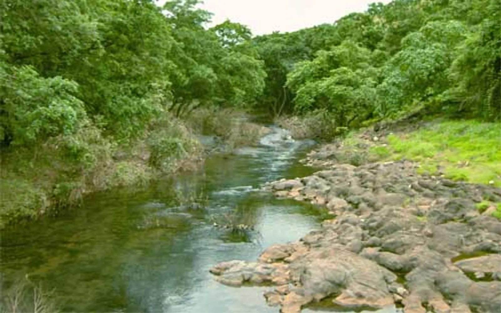ป่าเขียวและทะเลสาบในอุทยานแห่งชาติสันเจกานธี