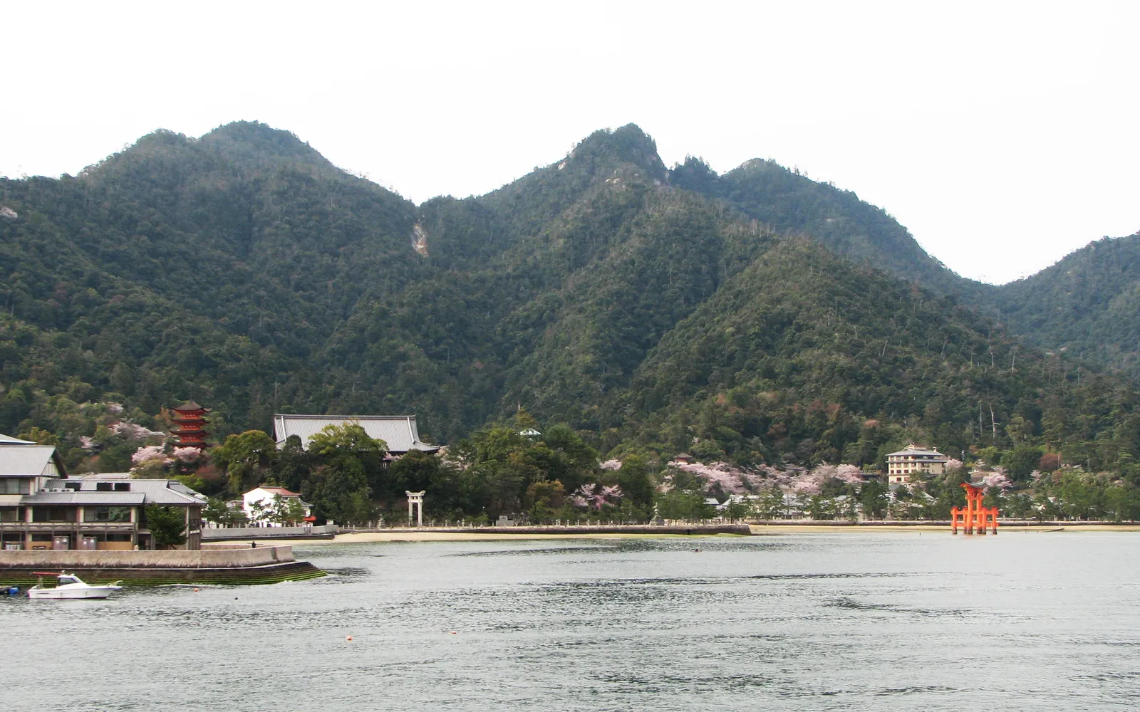 หุบเขาโมมิจิดานิบนเกาะมิยาจิม่ากับใบเมเปิลสีแดงสดในฤดูใบไม้ร่วง