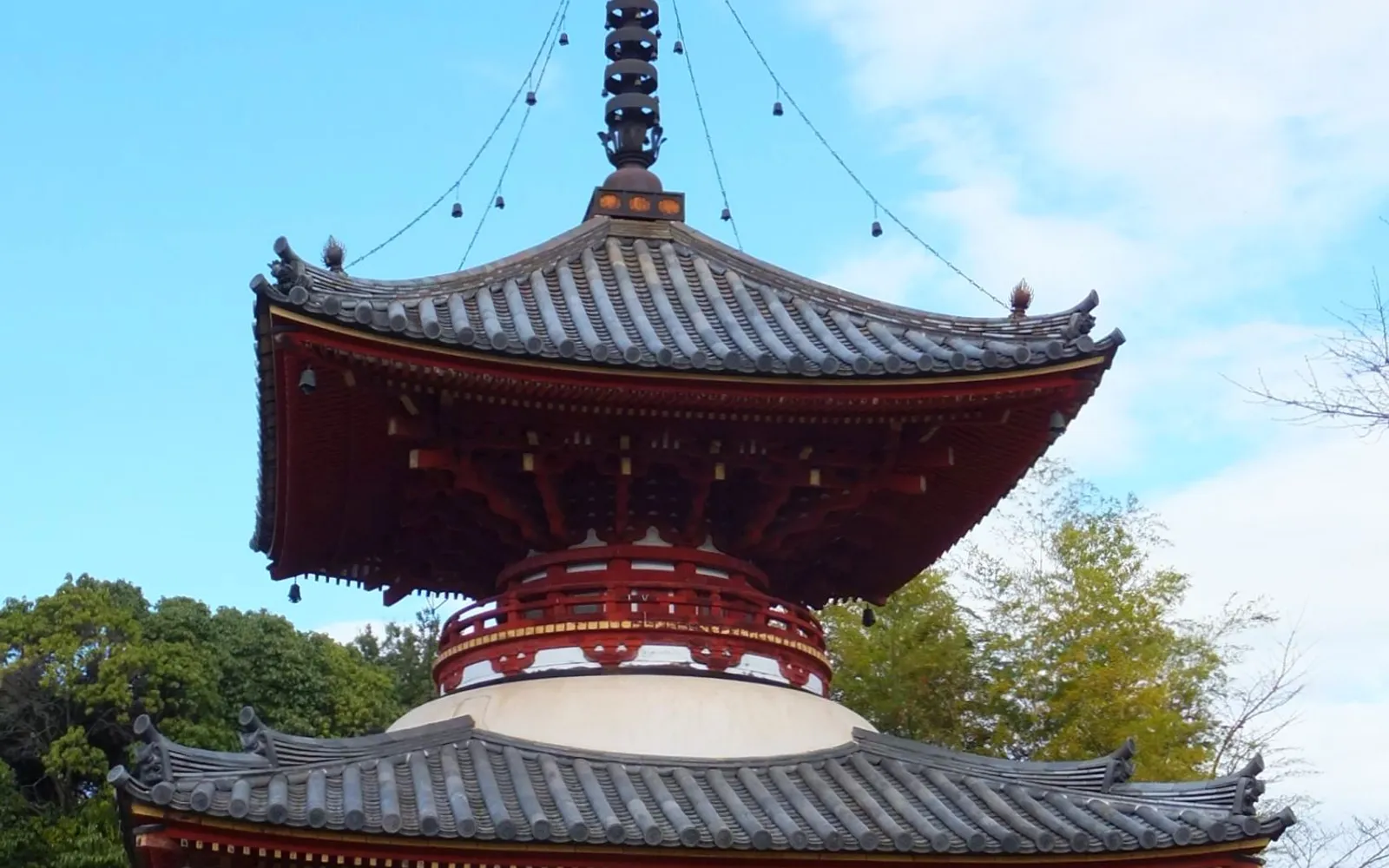 ประตูซันมง (Sanmon) ของวัดคิไทอินในคาวาโกเอะล้อมรอบด้วยต้นไม้ใหญ่