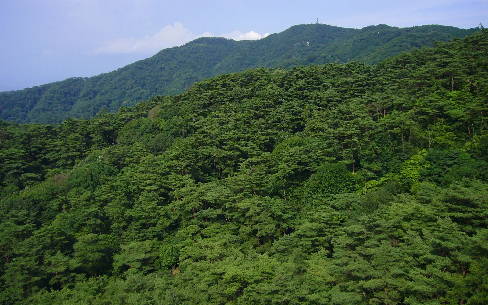 วิวพาโนรามาของเมืองโกเบและอ่าวโอซาก้าจากยอดเขาโรคโคสูง 931 เมตร