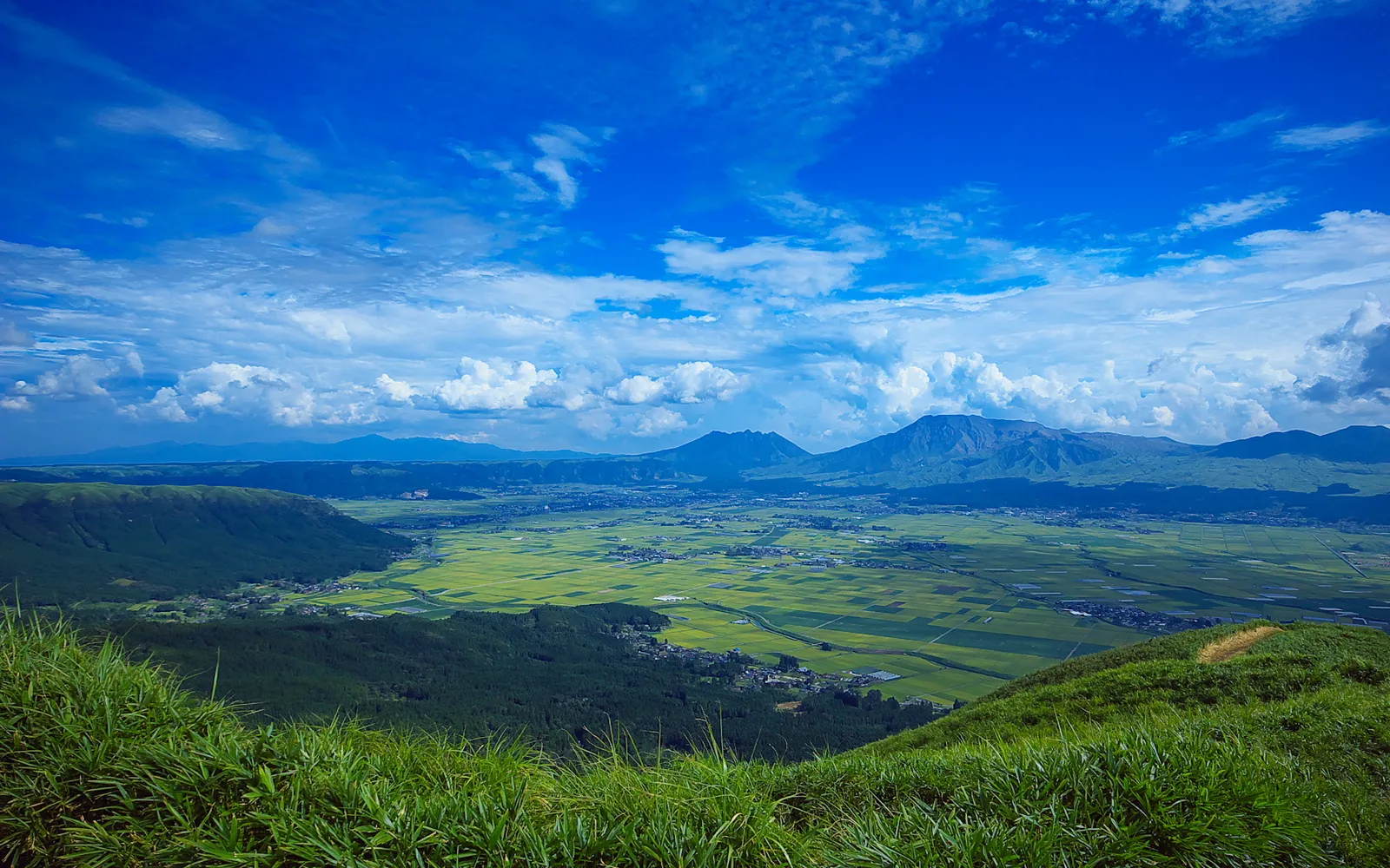 บ้านโดมกลมในป่าสีเขียวของ Aso Farm Land