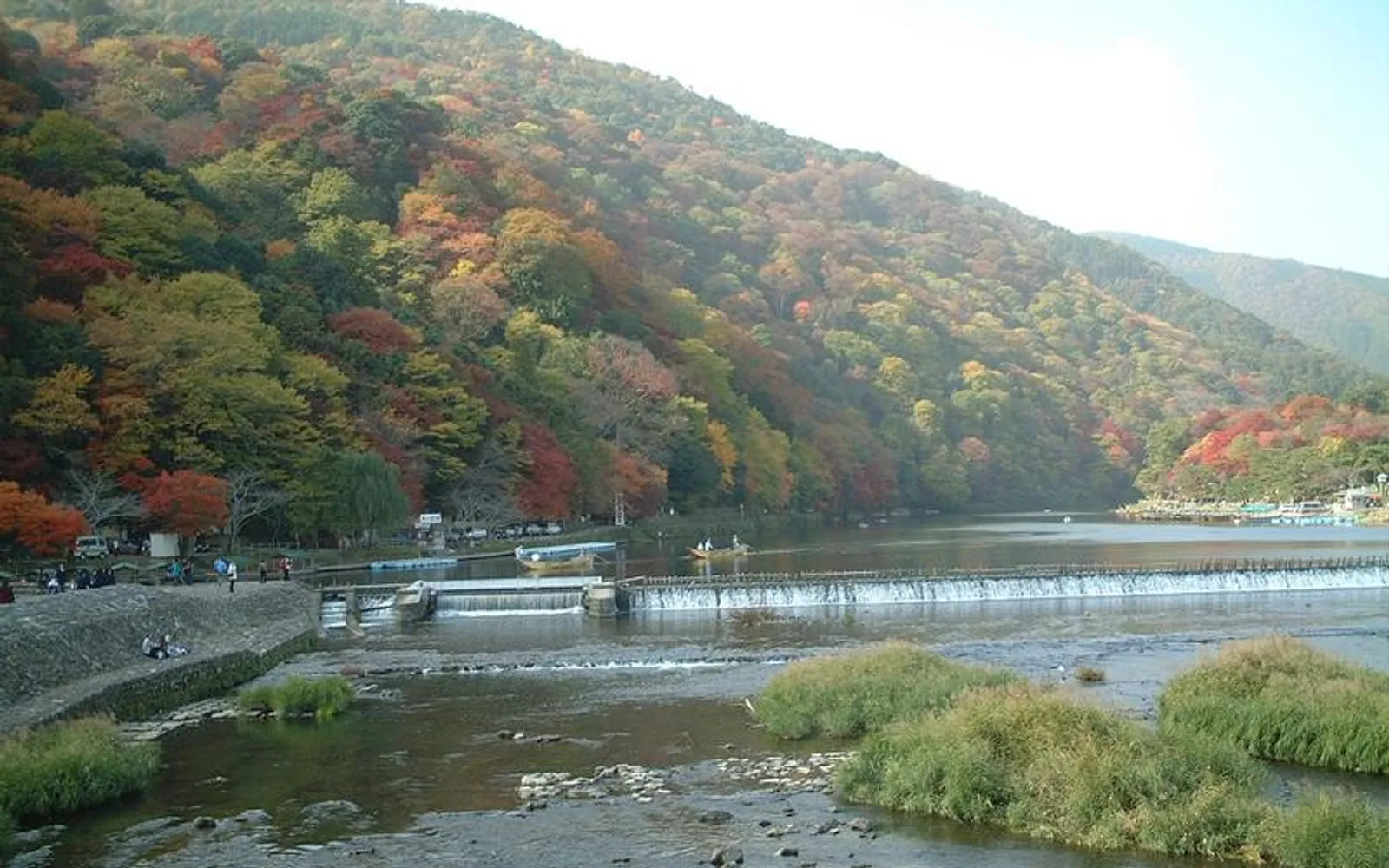 อุโมงค์ไผ่สีเขียวสูงใหญ่ของ Arashiyama Bamboo Grove เกียวโต ทอดยาวสู่แสงสีทองยามเช้า