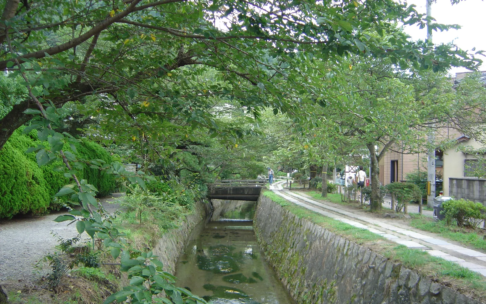 ทางเดินริมคลอง Philosopher's Path เกียวโต เรียงรายด้วยต้นซากุระบานสะพรั่งยามฤดูใบไม้ผลิ
