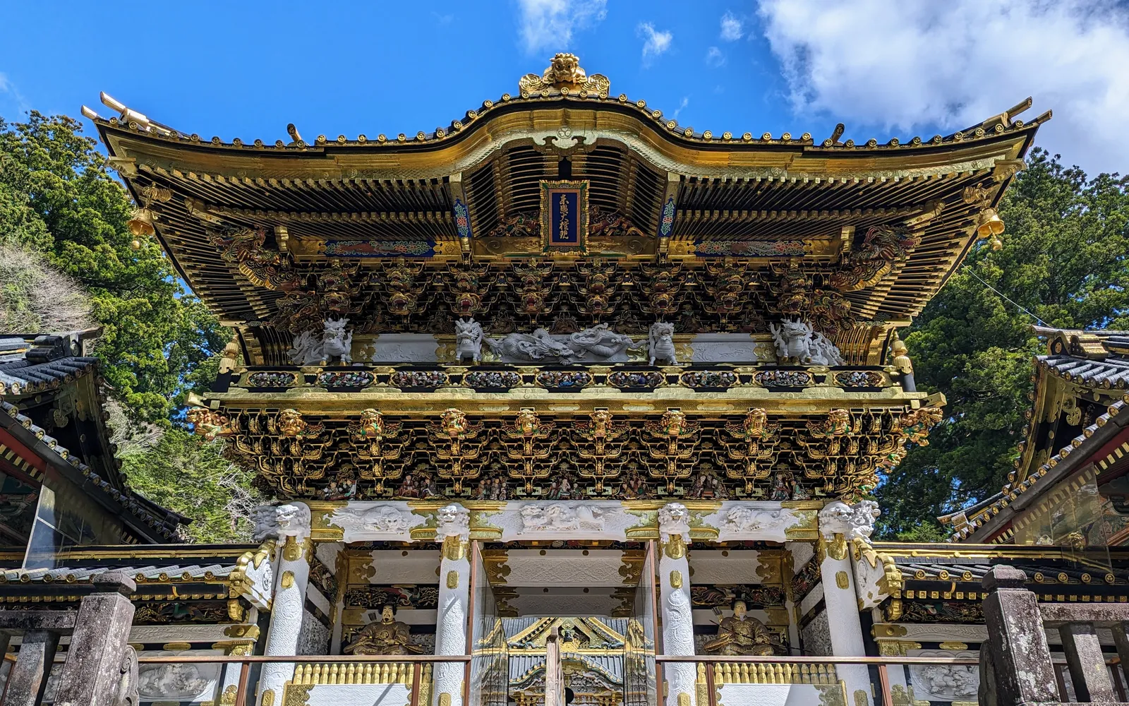 สตรอว์เบอร์รี่โทชิโอโตเมะสีแดงสดขนาดใหญ่กำลังแก่ในแปลงเกษตร