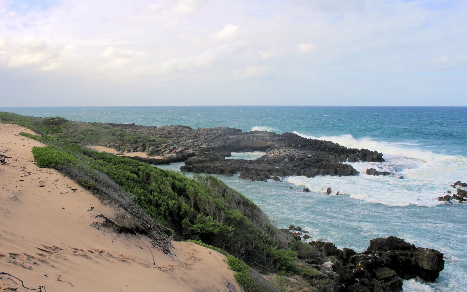 แนวชายหาดและป่าโกงกางของแหลมบาร์รา