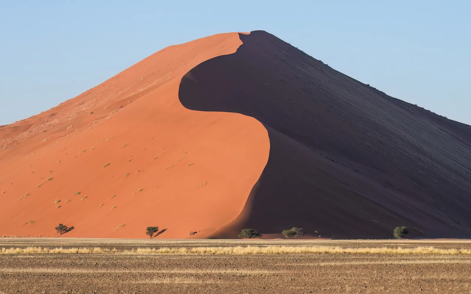 เนินทราย Dune 45 รูปตัว S ฉากพระอาทิตย์ขึ้นในทะเลทรายนามิบ