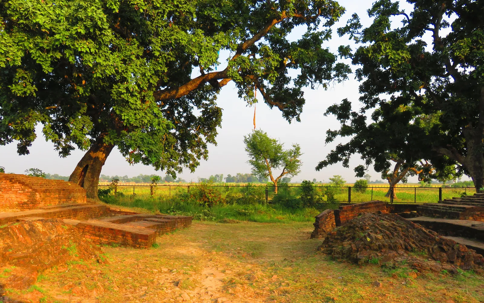 ซากประตูเมืองและกำแพงโบราณติเลาราโกฏ เมืองกบิลพัสดุ์