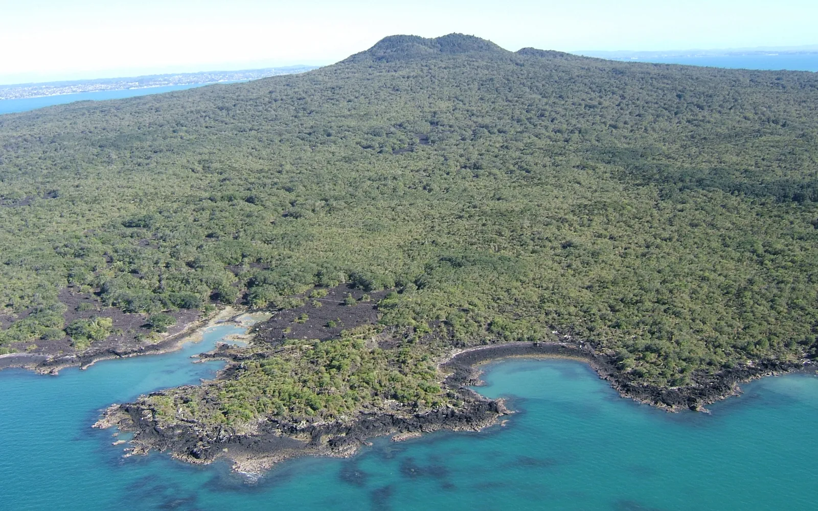 ภูเขาไฟ Rangitoto รูปกรวยสมมาตรปกคลุมด้วยป่าโพฮูตูกาวา ตั้งตระหง่านเหนืออ่าว Waitematā พื้นน้ำสีน้ำเงินเข้มยามเช้า