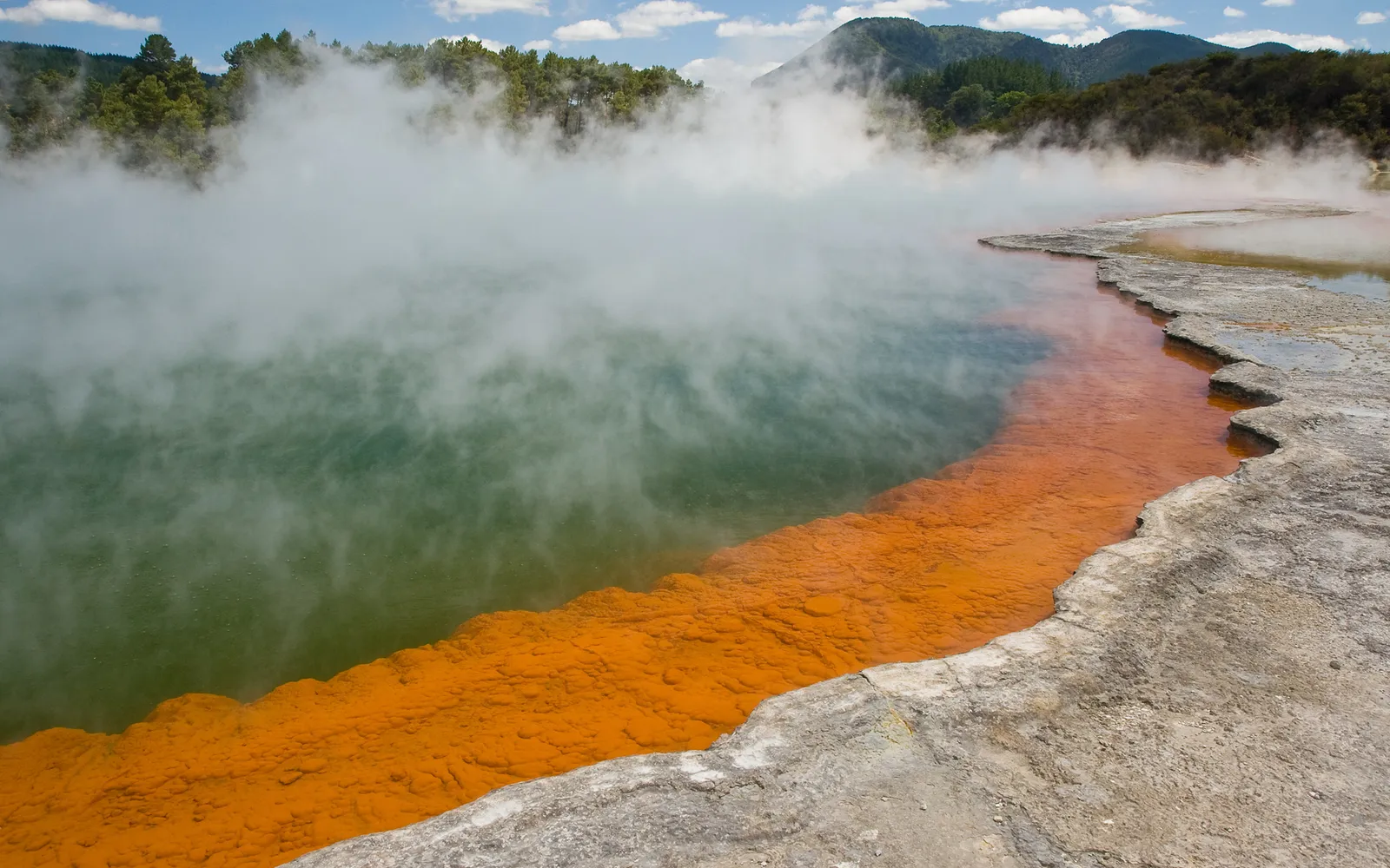 แหล่งน้ำสีเขียวมรกตและส้มสดใส Champion Lake ในไวโอทาปู แร่ธาตุหลากชนิดสร้างสีสันที่ไม่น่าเชื่อว่าเกิดขึ้นเองตามธรรมชาติ