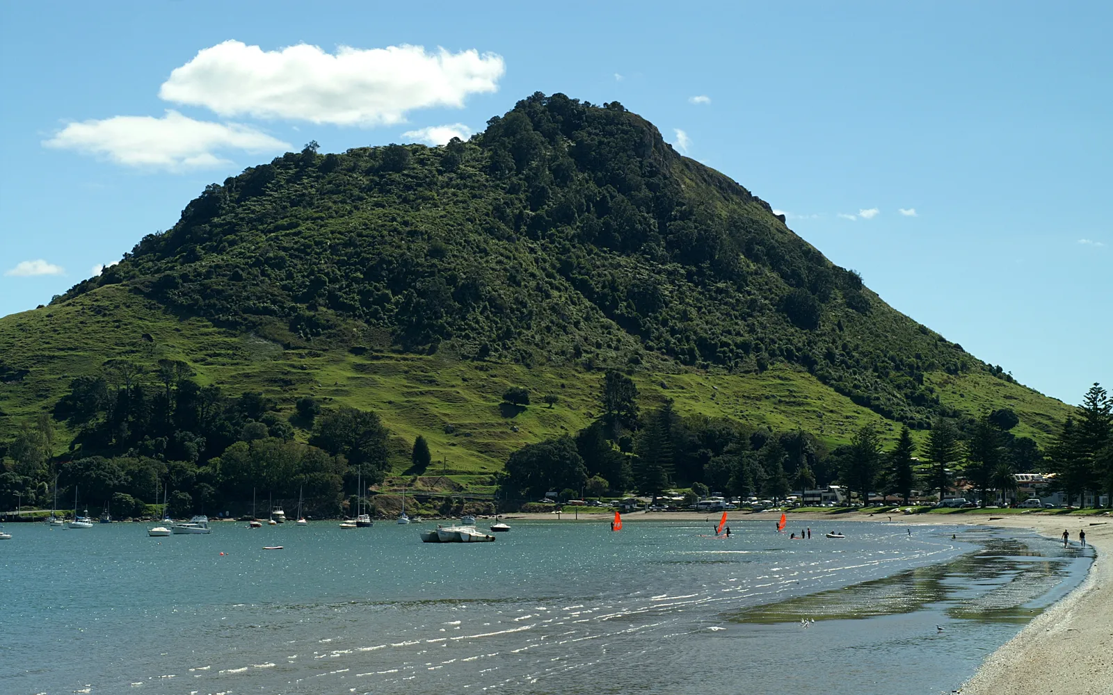 6 ที่เที่ยวเทารางงา ที่ไม่ควรพลาด — เมาเมาอุนุ ชายหาด Bay of Plenty และน้ำตกแมคลาเรน