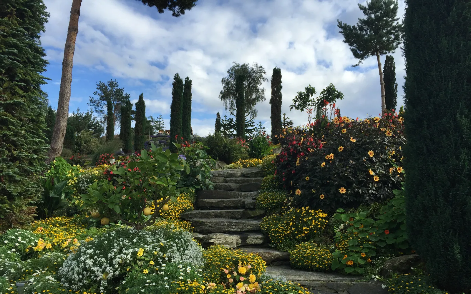 สวนดอกไม้และต้นปาล์มเขตร้อนบนเกาะ Flor og Fjære