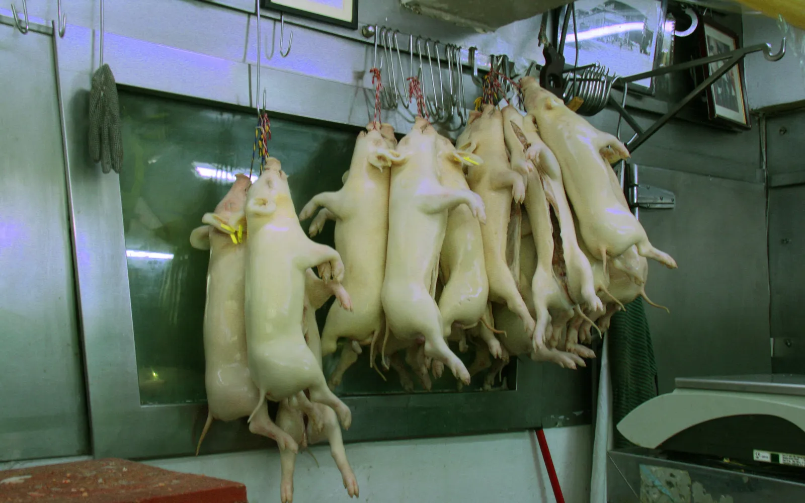 เลชอนหมูหันย่างทั้งตัวหนังกรอบแบบฟิลิปปินส์