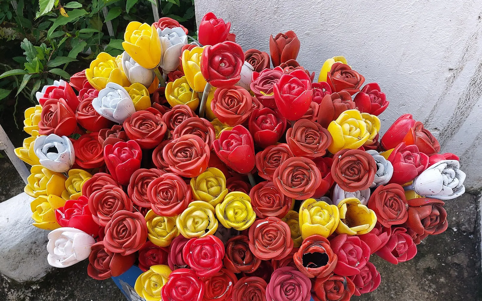 แปลงดอก celosia สีแดงส้มเรืองรองเป็นทุ่งกว้างบนเนินเขา มีกังหันลมสีขาวและภูเขาสีเขียวเป็นฉากหลัง