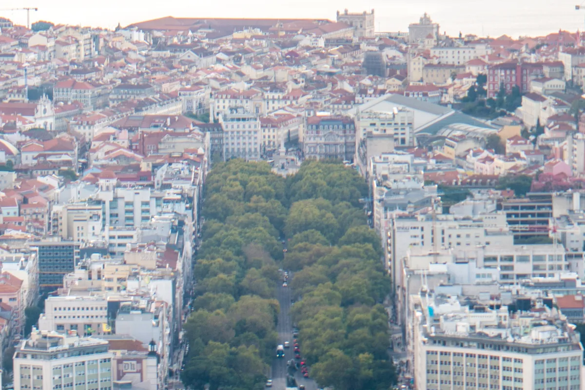 บรรยากาศย่านAvenida da Liberdade ในลิสบอน