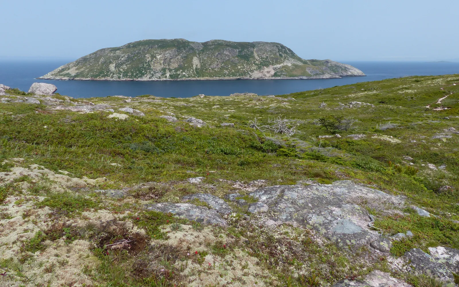 เกาะกร็องด์โกล็องบีเย เกาะหินเขียวขจีมองจากเกาะแซ็งปีแยร์