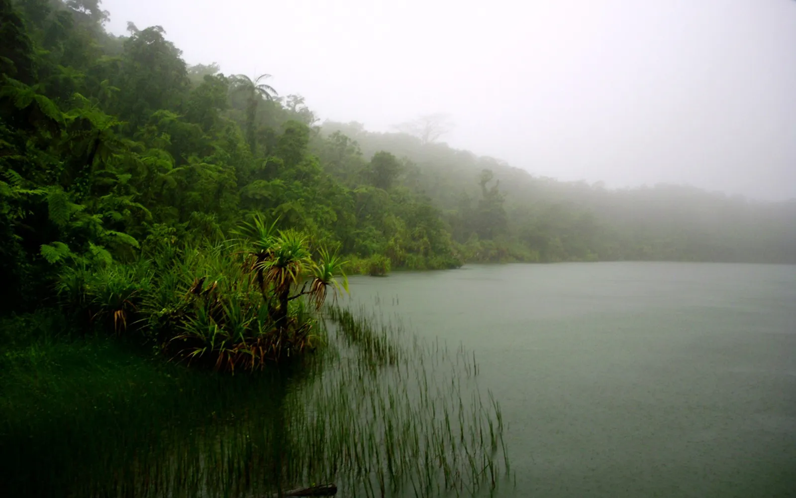 ทะเลสาบปล่องภูเขาไฟ Lanoto'o กลางเกาะ Upolu ซามัว