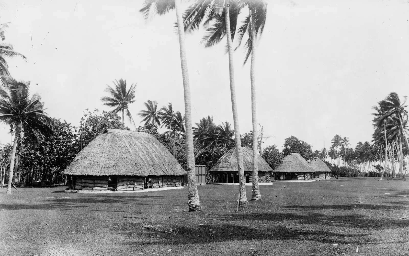บ้านพื้นเมือง fale ทรงรีบนคาบสมุทร Mulinu'u ซามัว