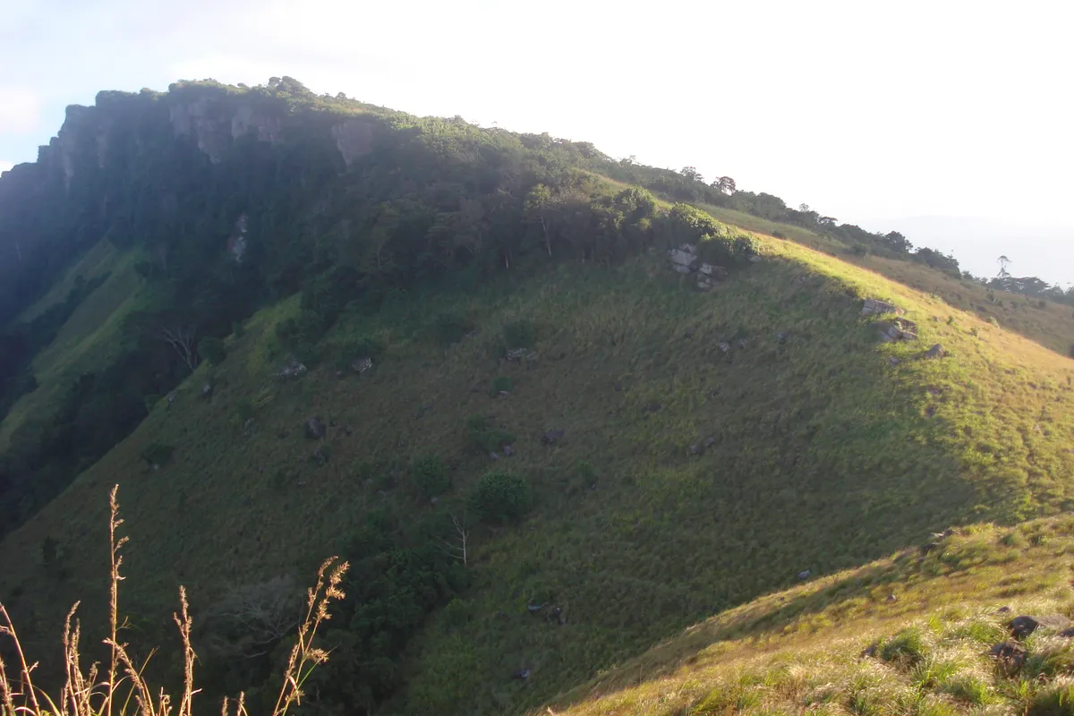 บรรยากาศย่านเขาฮันธานะ (Hanthana Hills) ในแคนดี
