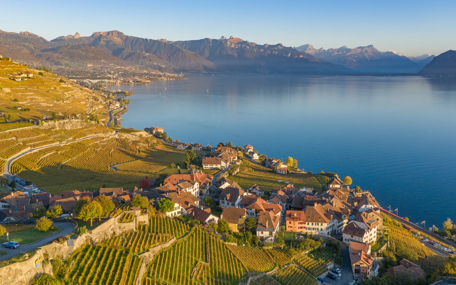 ไร่องุ่น Lavaux ขั้นบันไดสีเขียวเรียงรายลงสู่ทะเลสาบเลมัน เทือกเขาแอลป์ฝรั่งเศสหิมะขาวปรากฏอยู่อีกฝั่งในวันฟ้าใส