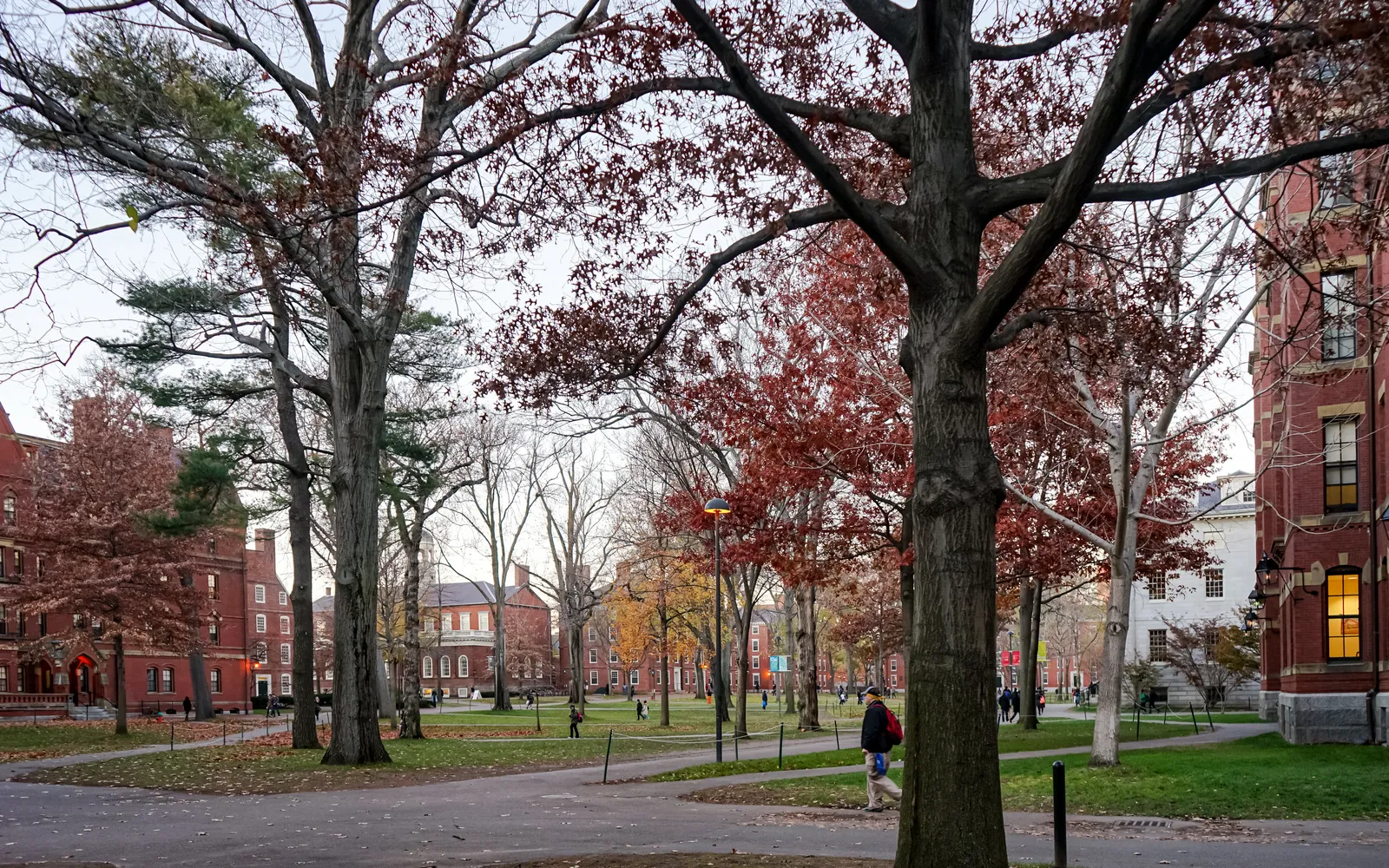 ลานกว้าง Harvard Yard ล้อมรอบด้วยอาคารอิฐแดงเก่าแก่และต้นไม้ใหญ่ของมหาวิทยาลัยฮาร์วาร์ด