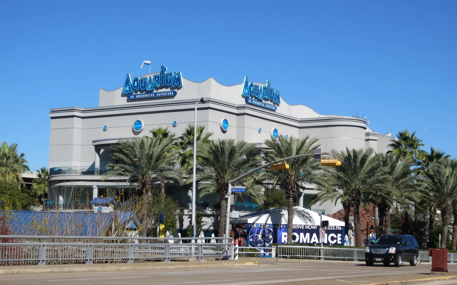 อุโมงค์ฉลาม Shark Voyage ของ Downtown Aquarium ฮิวสตัน พร้อมฉลามว่ายผ่านเหนือหัว