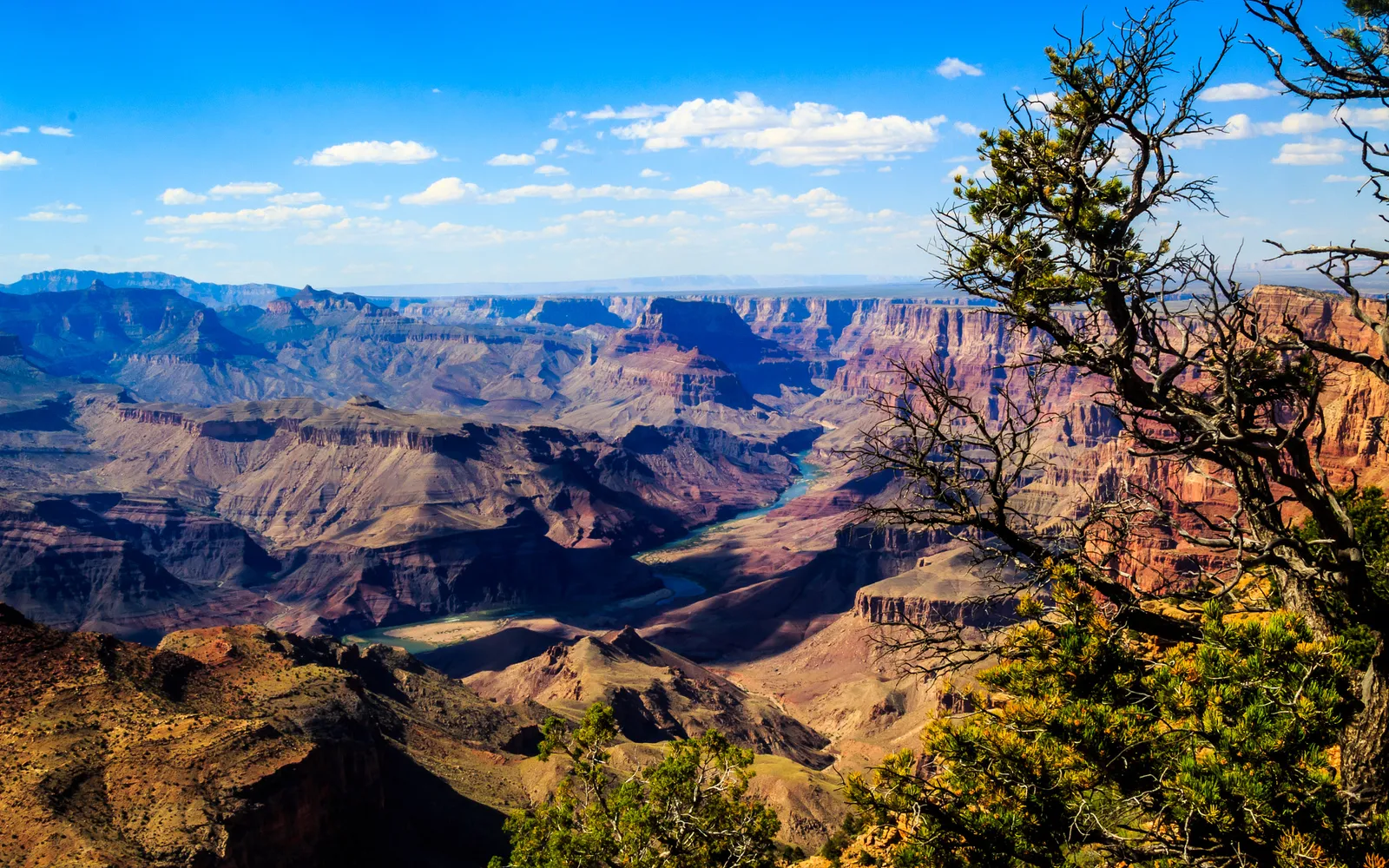 มุมมองจาก South Rim แกรนด์แคนยอน หุบเขาหินสีแดงส้มลึกกว่า 1,600 เมตรทอดยาวไปถึงขอบฟ้าใต้แสงแดดยามเย็น แม่น้ำโคโลราโดเล็กจิ๋วเลื้อยผ่านก้นหุบเขา