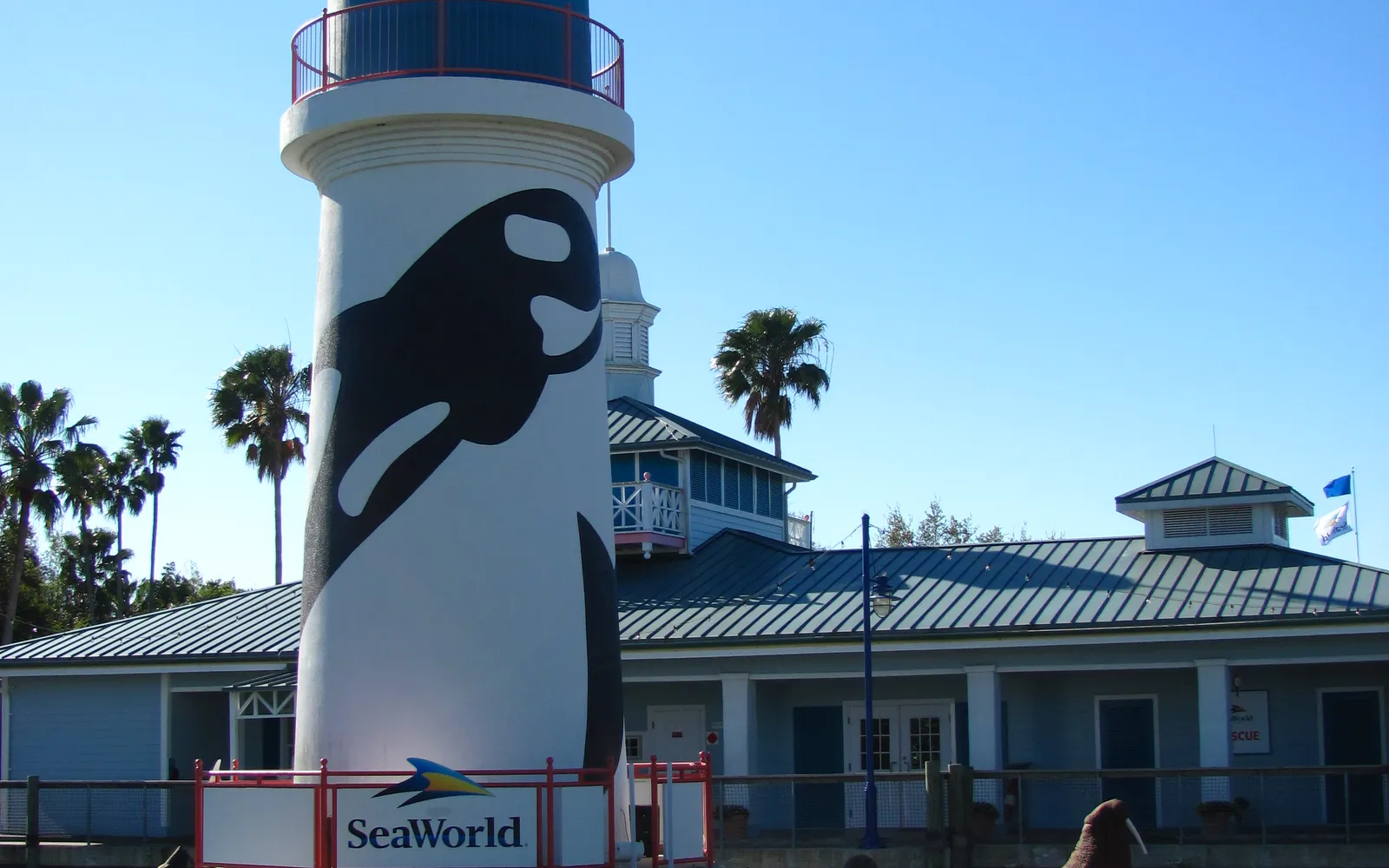 โลมาปากขวดกระโดดข้ามน้ำในสระโชว์ขนาดใหญ่ที่ SeaWorld Orlando ผู้ชมนั่งเต็มอัฒจันทร์รอบด้าน