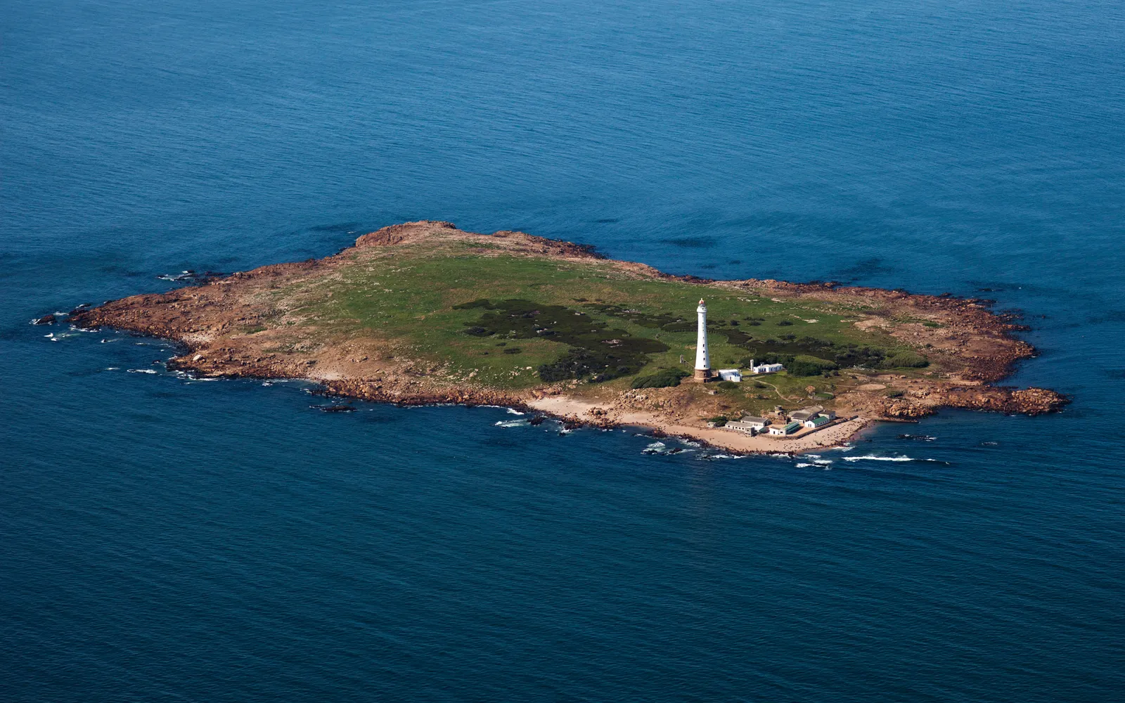 เกาะหินอิสลาเดโลโบสกลางทะเลพร้อมประภาคารและฝูงสิงโตทะเล