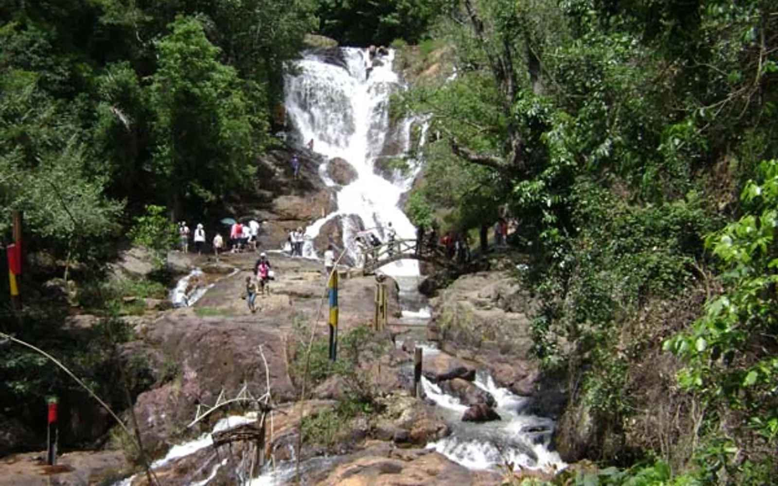Datanla Falls cascading into a pool amid dense forest