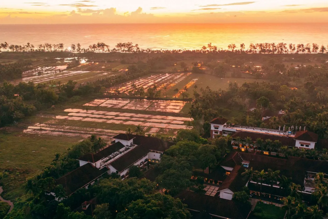 Alila Diwa Goa — rooms and atmosphere